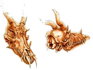Dragon Skulls